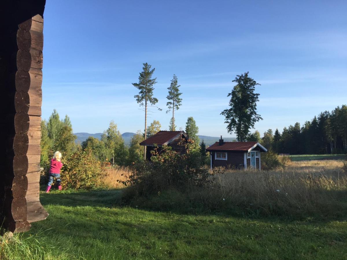Vasa Ski Lodge 모라 외부 사진