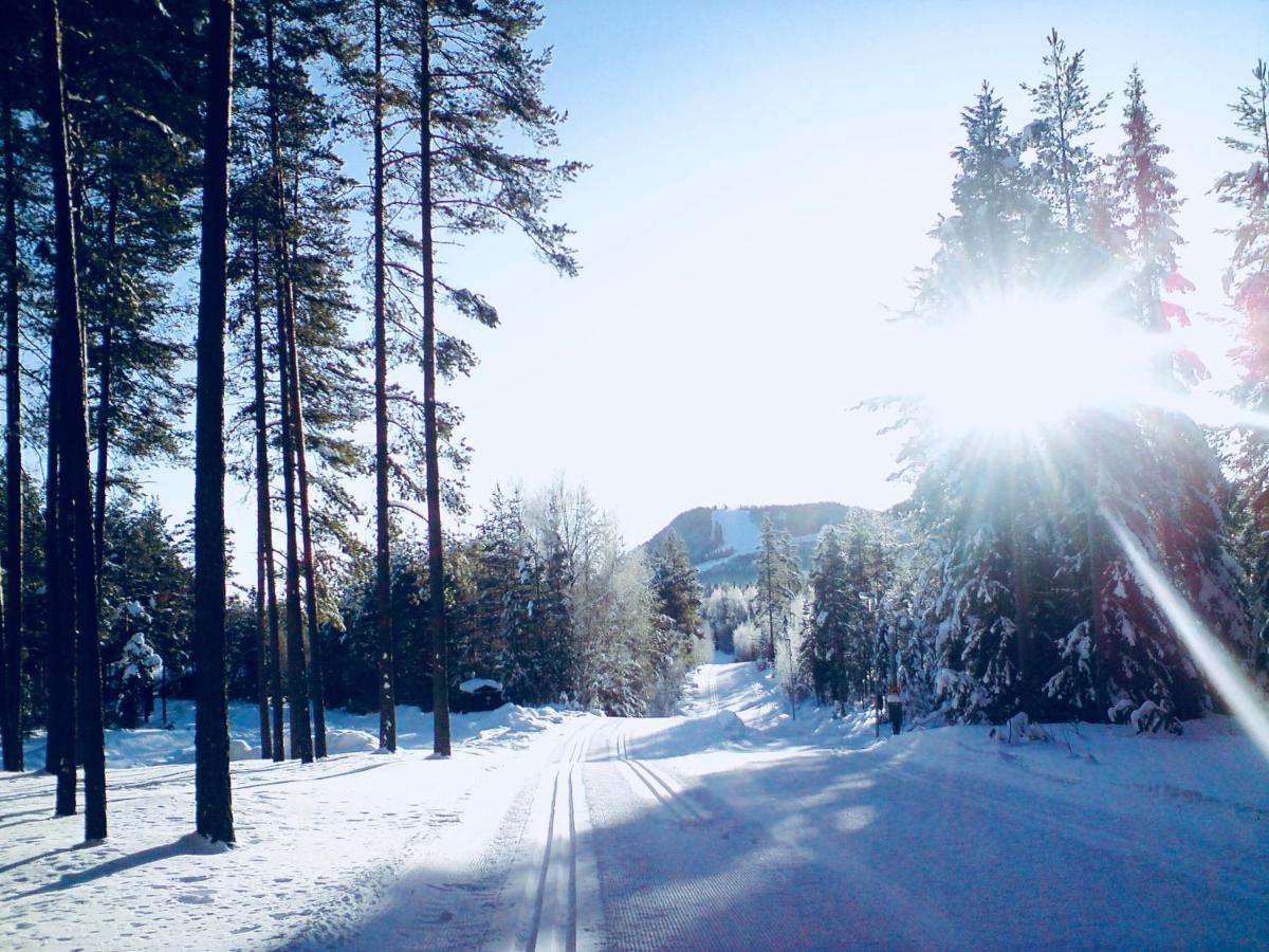 Vasa Ski Lodge 모라 외부 사진